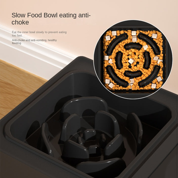 Elevated Double Bowl Stand for Dogs