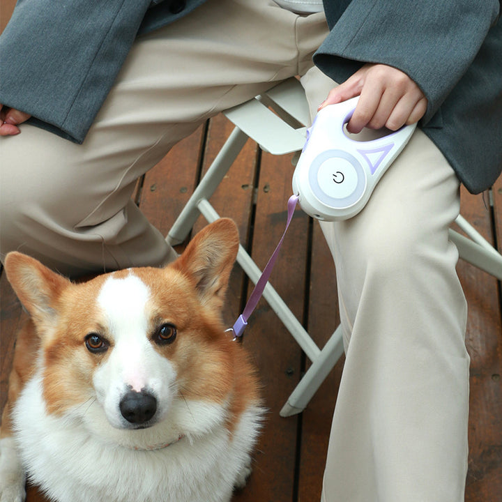 Retractable Dog Leash with LED Spotlight
